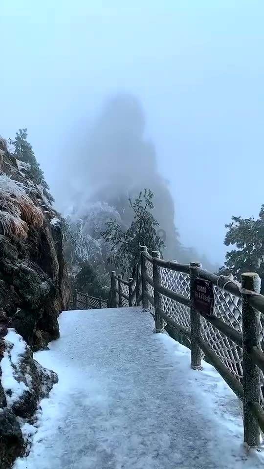 精灵的居住地