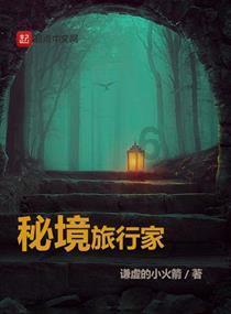 破碎的动物图形3