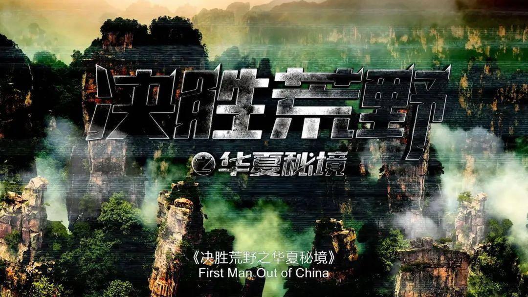 拯救蝙蝠家族