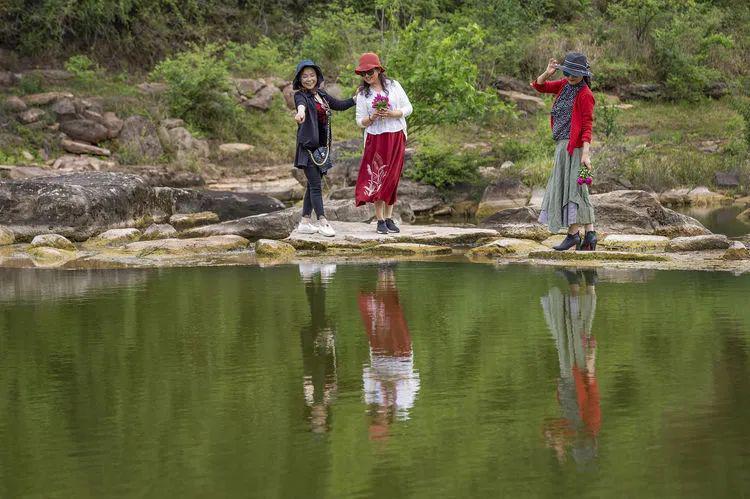 “中华春节 杨浦年味”!这波精彩活动别错过丨爱申活 暖心春